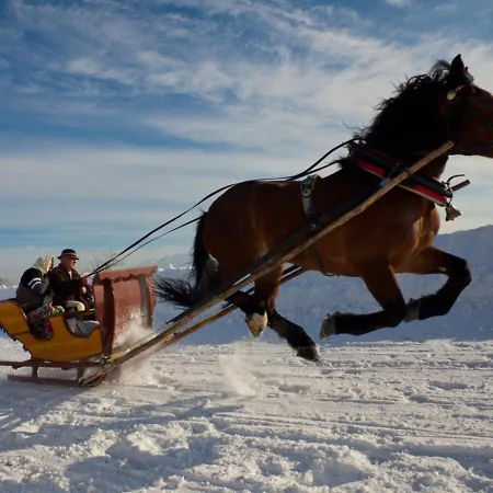Oda ve Kahvaltı Zarebek