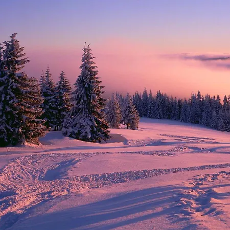 Zarebek 3* Łopuszna