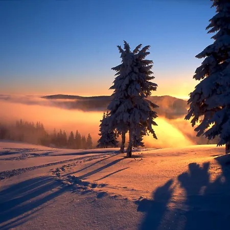 Zarebek Oda ve Kahvaltı 3*